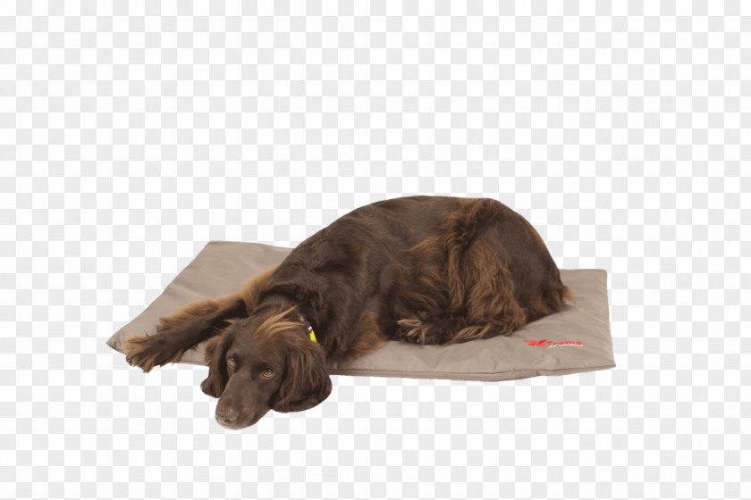 Puppy Boykin Spaniel Dog Breed Bed Duvet PNG