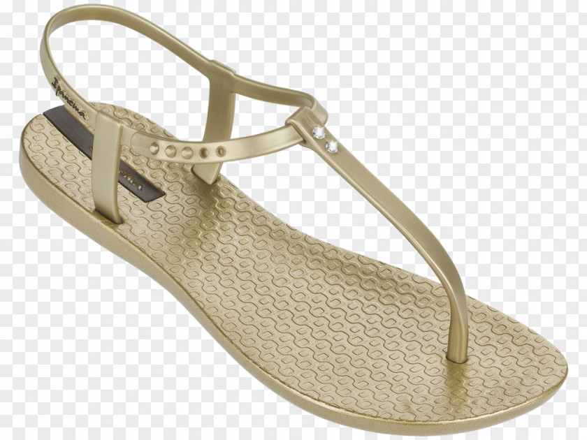 Sandal Ipanema Shoe Footwear Sneakers PNG