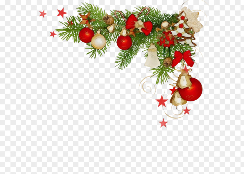 Spruce Evergreen Christmas And New Year Background PNG
