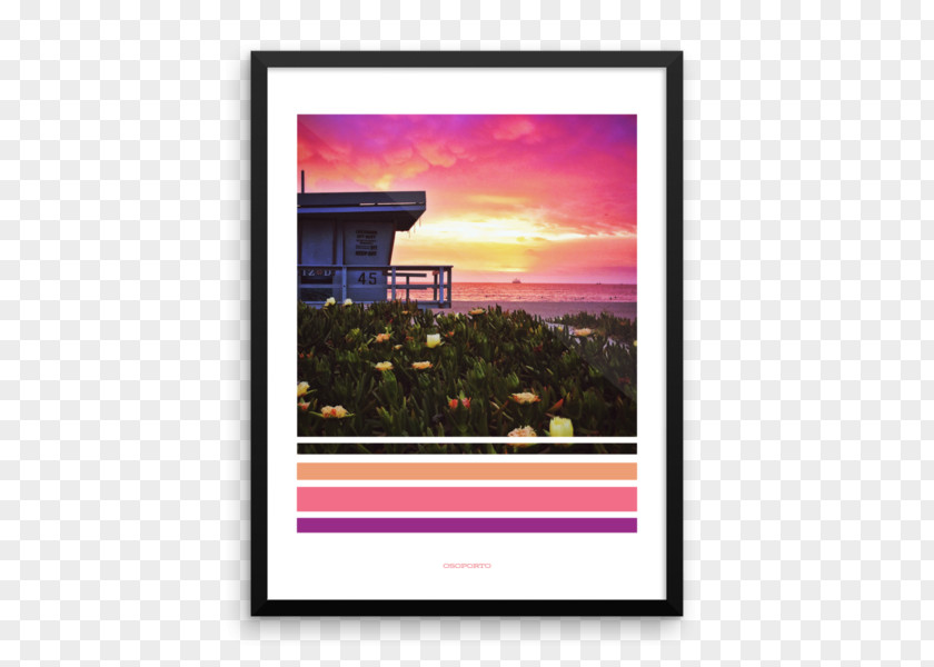 Wall Mockup Poster Photography Picture Frames Photographic Paper PNG