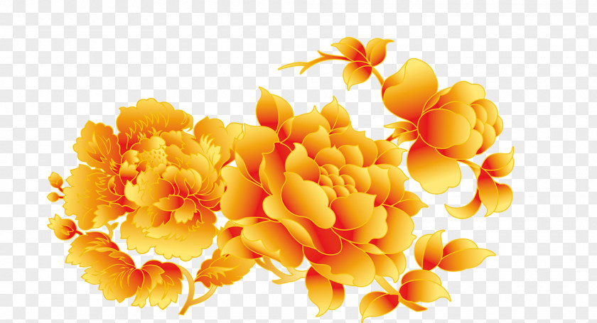 Beautiful Delicate Peony Flowers Moutan Clip Art PNG