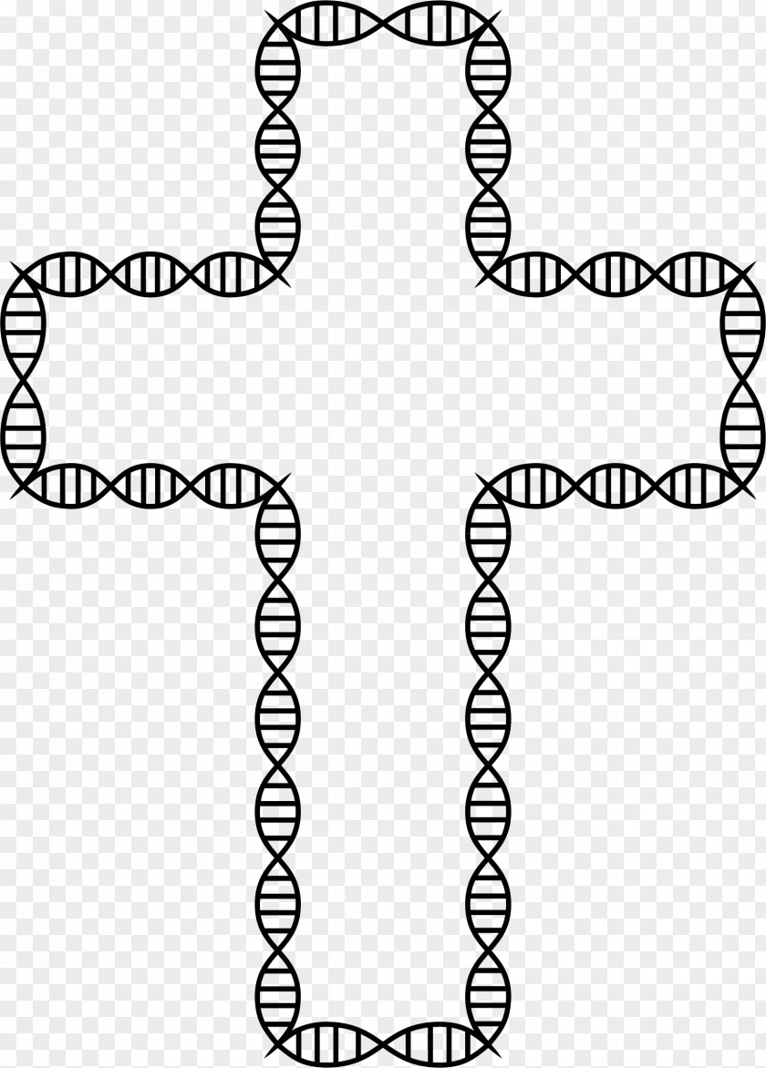 Dna DNA–DNA Hybridization Nucleic Acid Double Helix Gene Biology PNG
