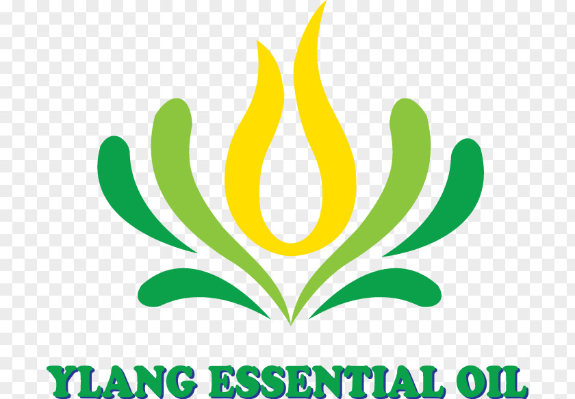 Essential Oil Logo Leaf Ylang-ylang Brand PNG