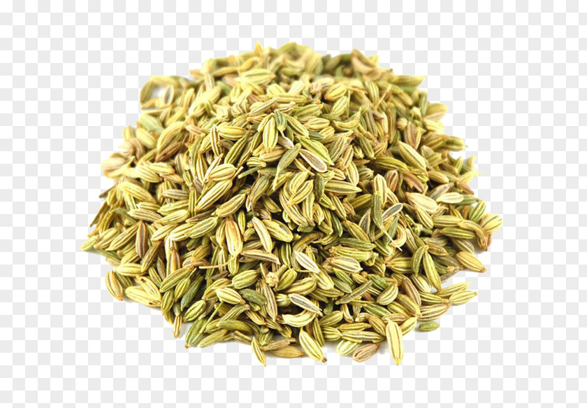 Fennel Seed Anise Organic Food Herb PNG
