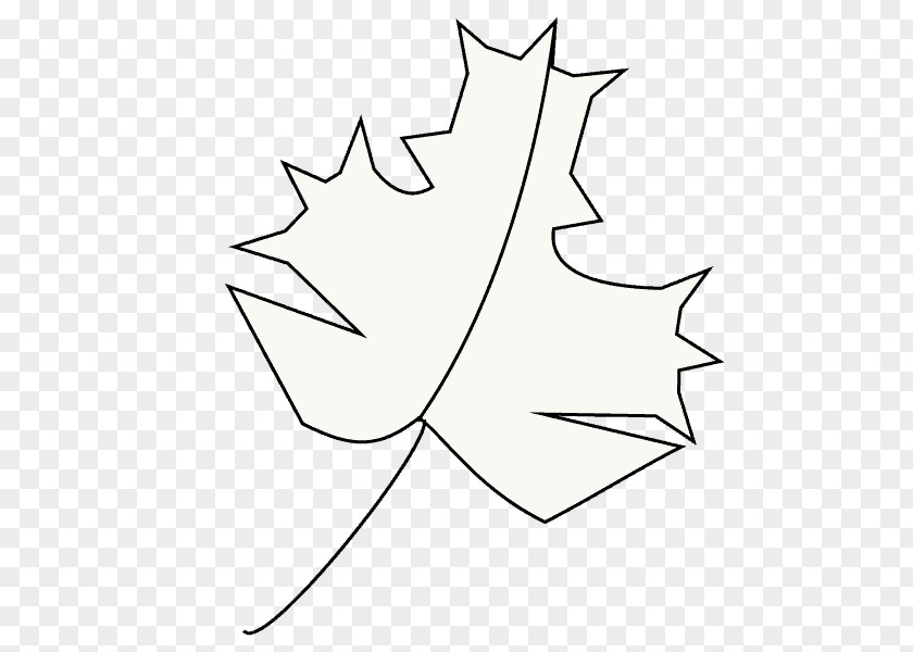 Maple Leaf Outline Plant Stem Line Art Clip PNG