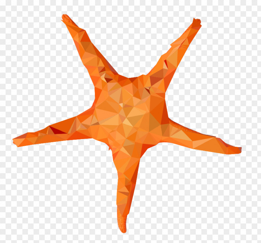 Starfish Image Desktop Wallpaper Clip Art PNG
