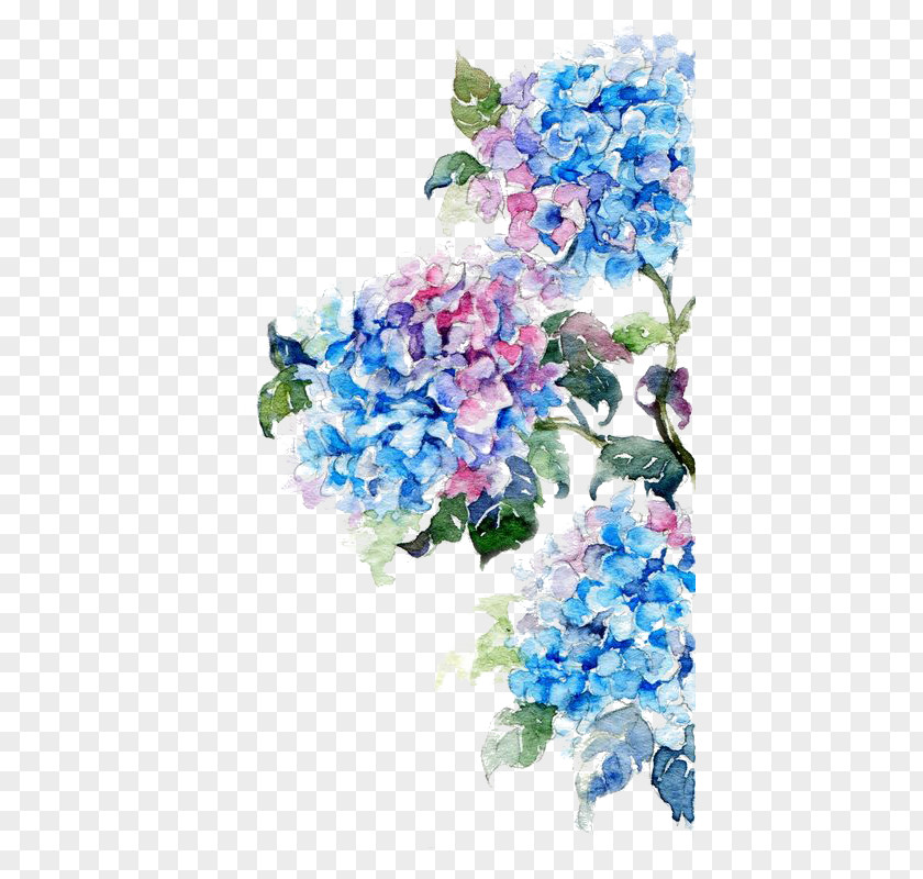 Blue Flower PNG flower clipart PNG