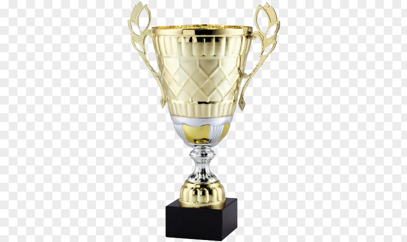 Cup Trophy Metal Award Gold PNG