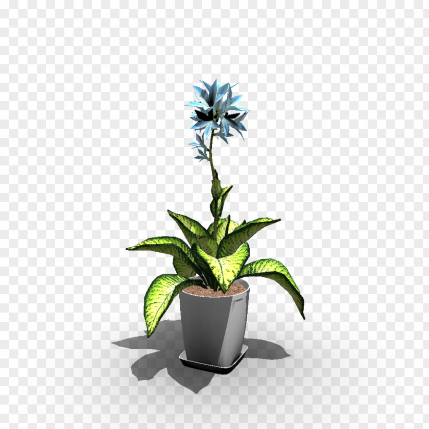 Indoors Flowerpot Houseplant Vase Agave PNG
