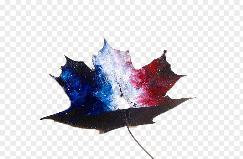 Leaves Star Painting November 2015 Paris Attacks Drawing Art Illustration PNG