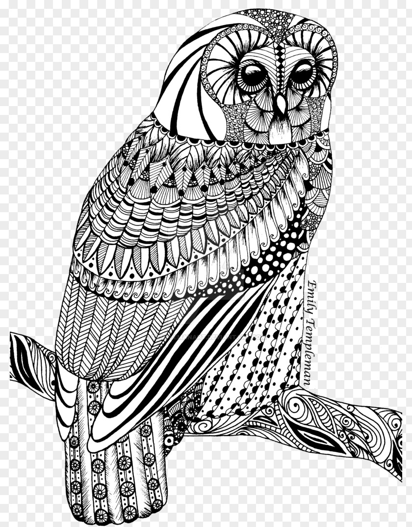 Owl Pattern Tawny Drawing Line Art PNG