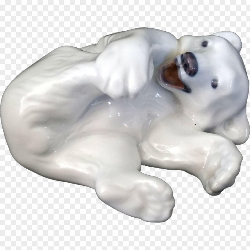 Polar Bear Dog Canidae Snout Carnivora Pet PNG