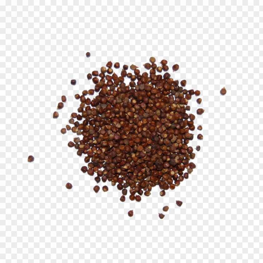 The Herb Shop Seasoning Spice Food PNG