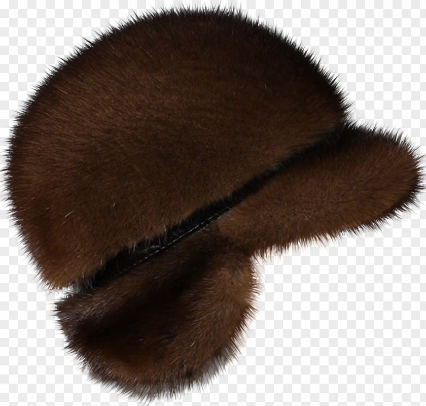 Cap Headgear Animal Product Fur Snout PNG