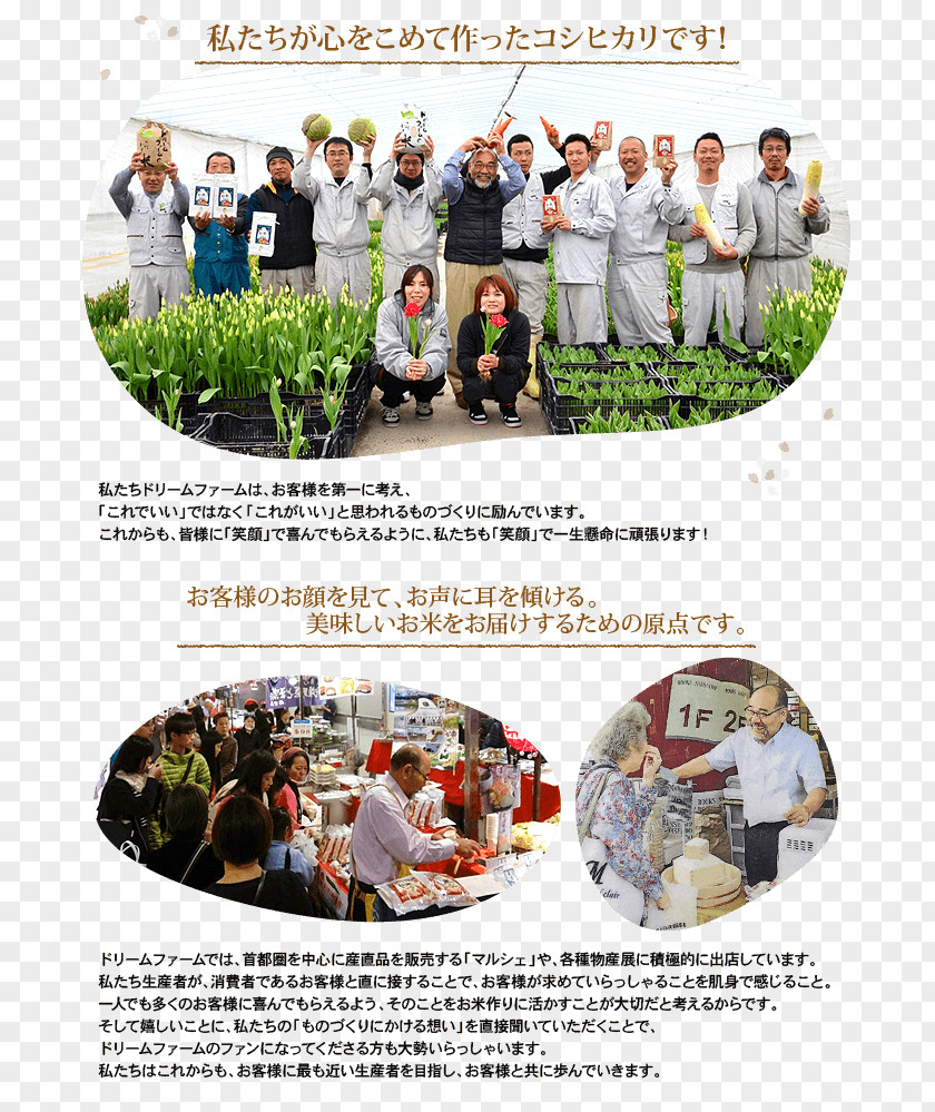 Rice Koshihikari White Brown Farmer PNG