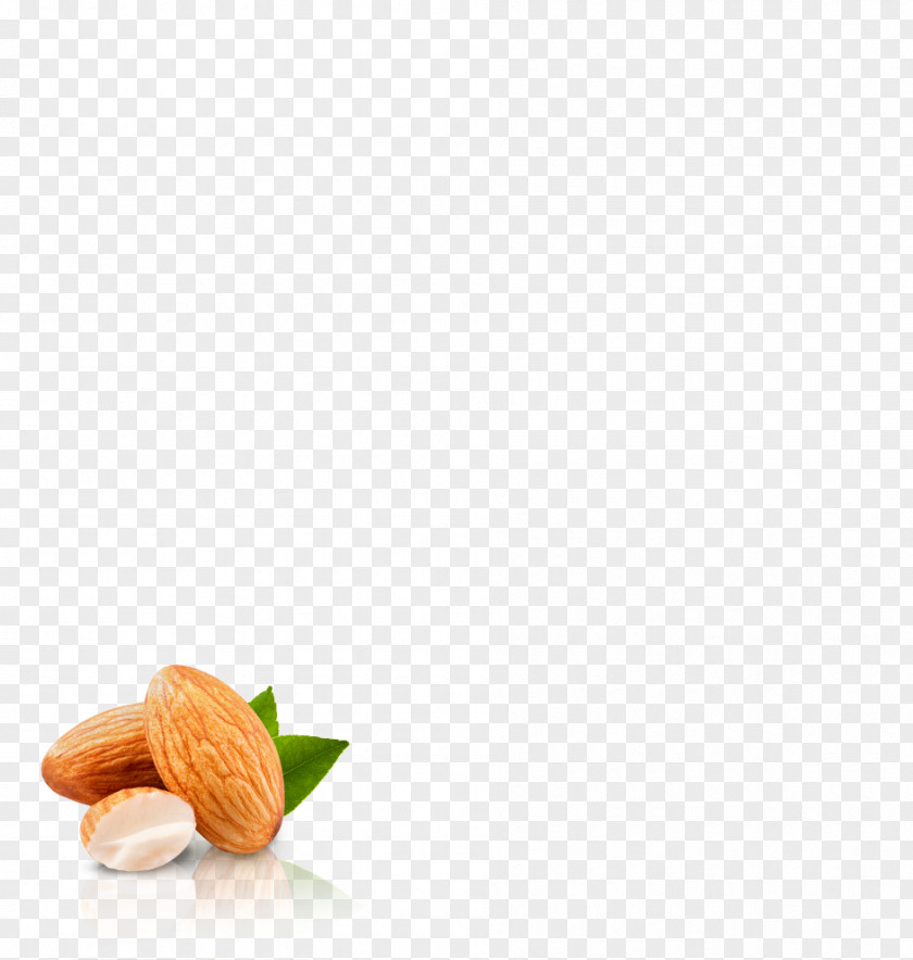 Almond Food Nut Cashew Macadamia Snack PNG