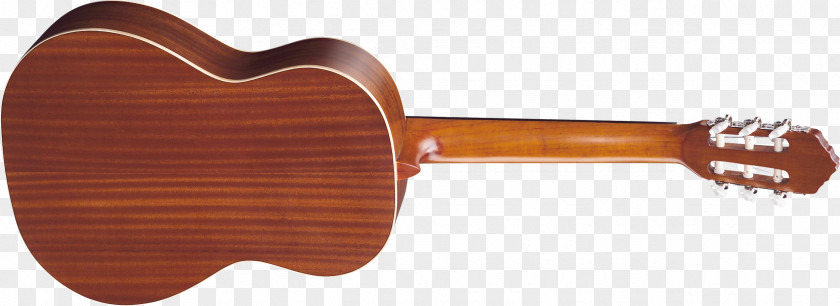Amancio Ortega Steel-string Acoustic Guitar Musical Instruments Classical PNG