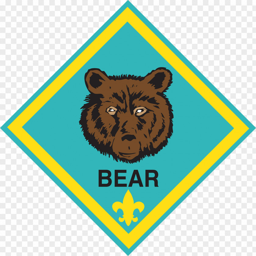 Bear Cub Scouting Boy Scouts Of America Pinewood Derby PNG