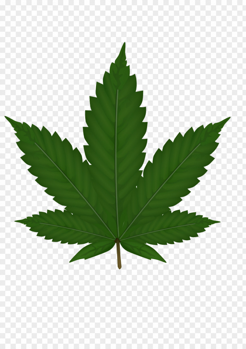Green Leaf Cannabis Smoking Clip Art PNG