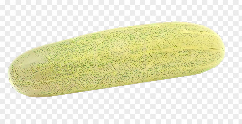 Green Luffa Plant PNG