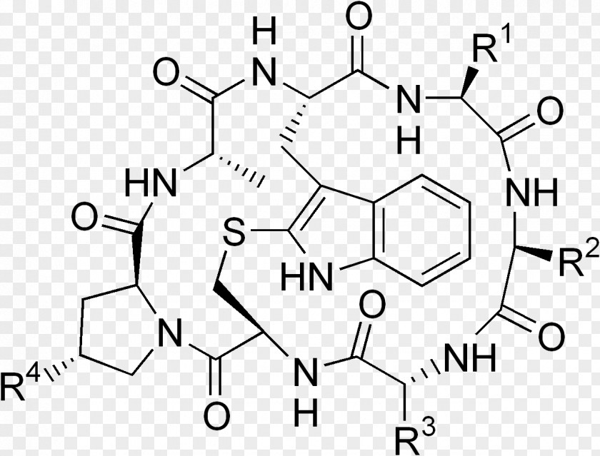 Hallo Phallotoxin Death Cap Amatoxin Alpha-Amanitin Phalloidin PNG