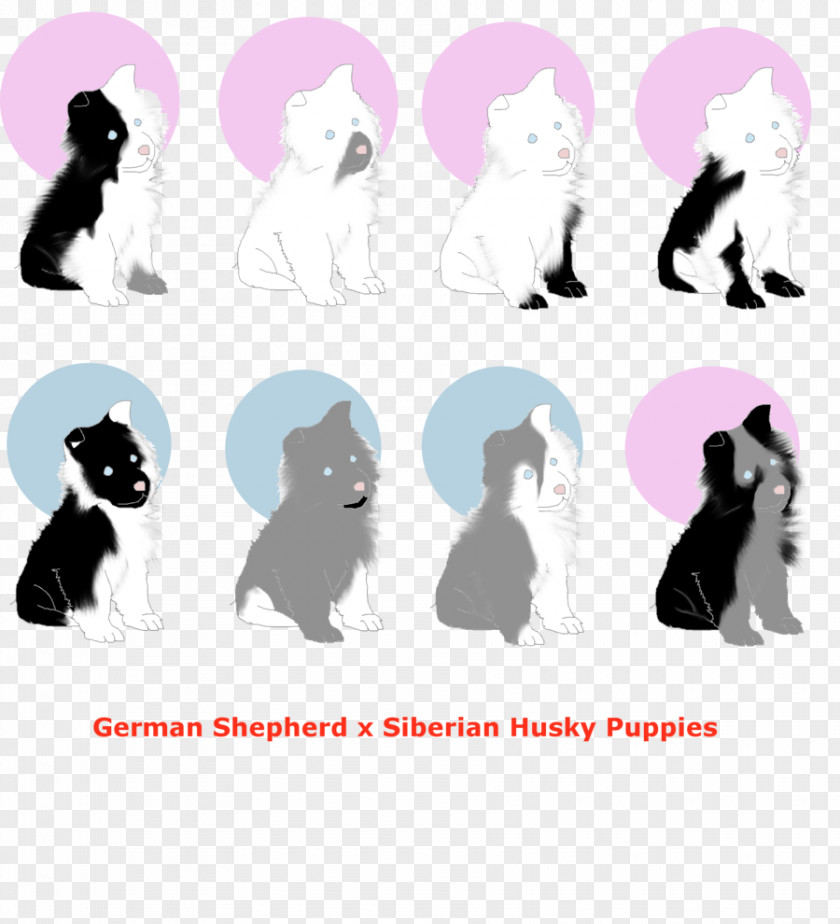 Husky Dog Cat Puppy Breed Non-sporting Group PNG