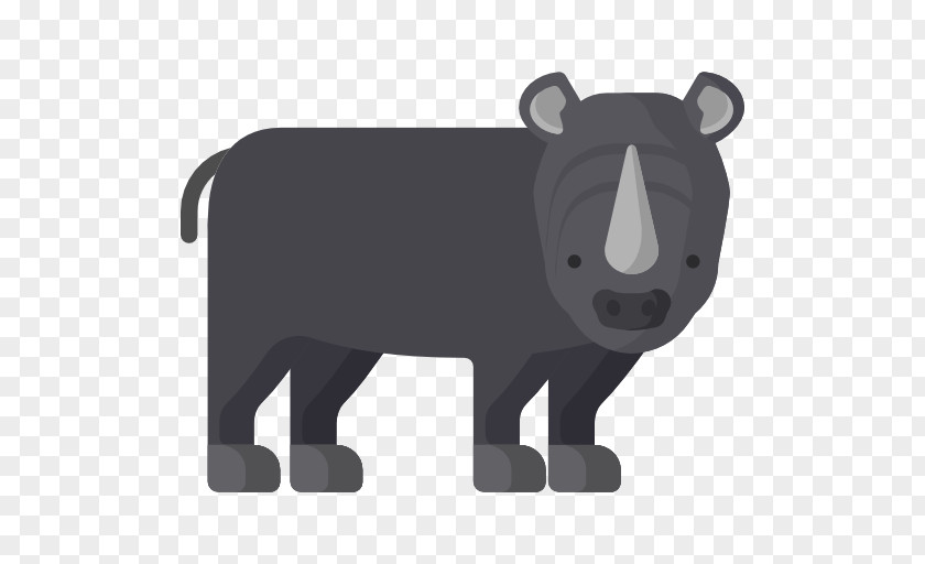 Pig Canidae Bear Cattle PNG