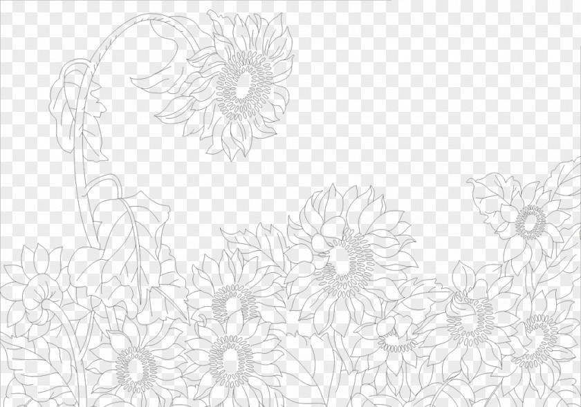 Sunflower Photos Black And White Pattern PNG