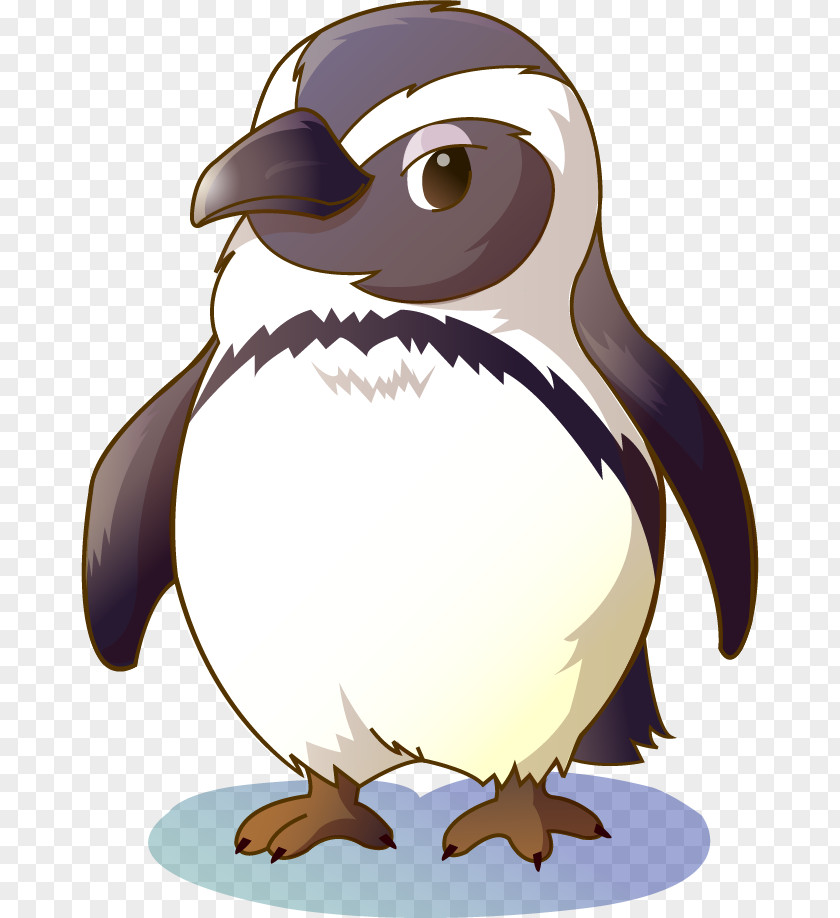 Vector Painted Penguin Bird Cartoon Illustration PNG