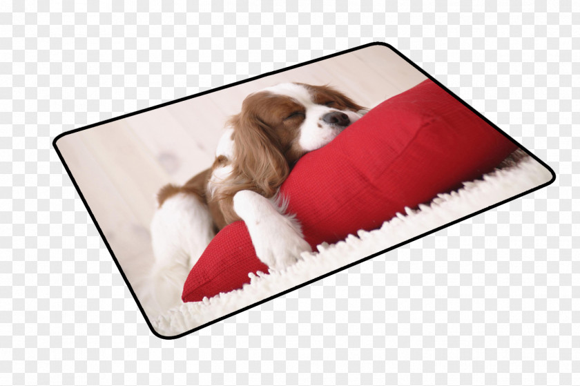 Animal Table Mat Material Computer Mouse Mousepad Paper PNG