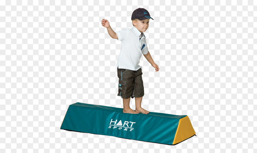 Balance Beam Sensory Room Gross Motor Skill Therapy Obstacle Course PNG