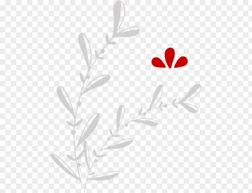 Leaf Font Heart Plant Stem Pattern PNG