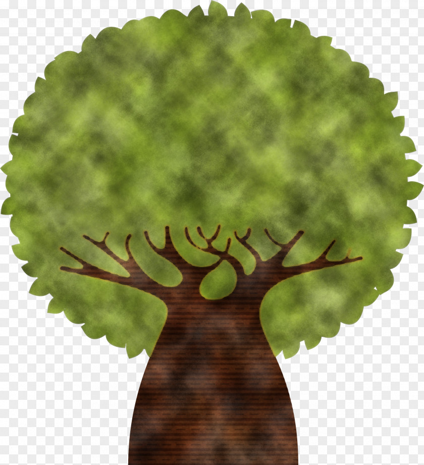 Tree Line PNG