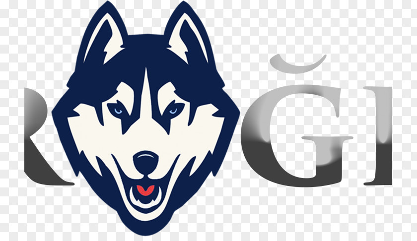 American Football University Of Connecticut Huskies Men's Basketball Women's NCAA Division I Bowl Subdivision PNG