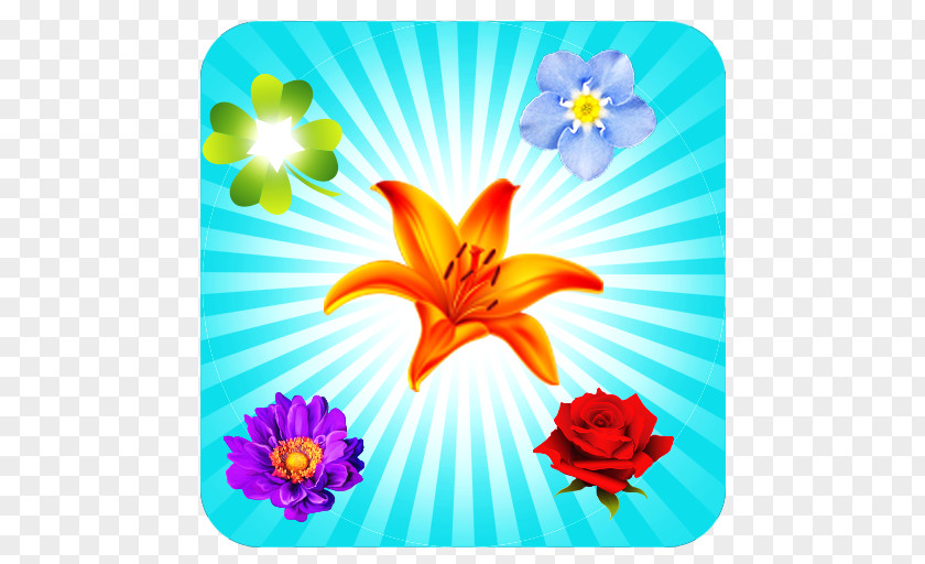 Design Floral Cut Flowers Desktop Wallpaper PNG