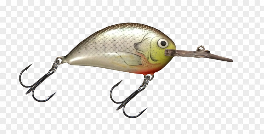 Fishing Baits Spoon Lure Business Perch Limited Liability Company Fisherman PNG