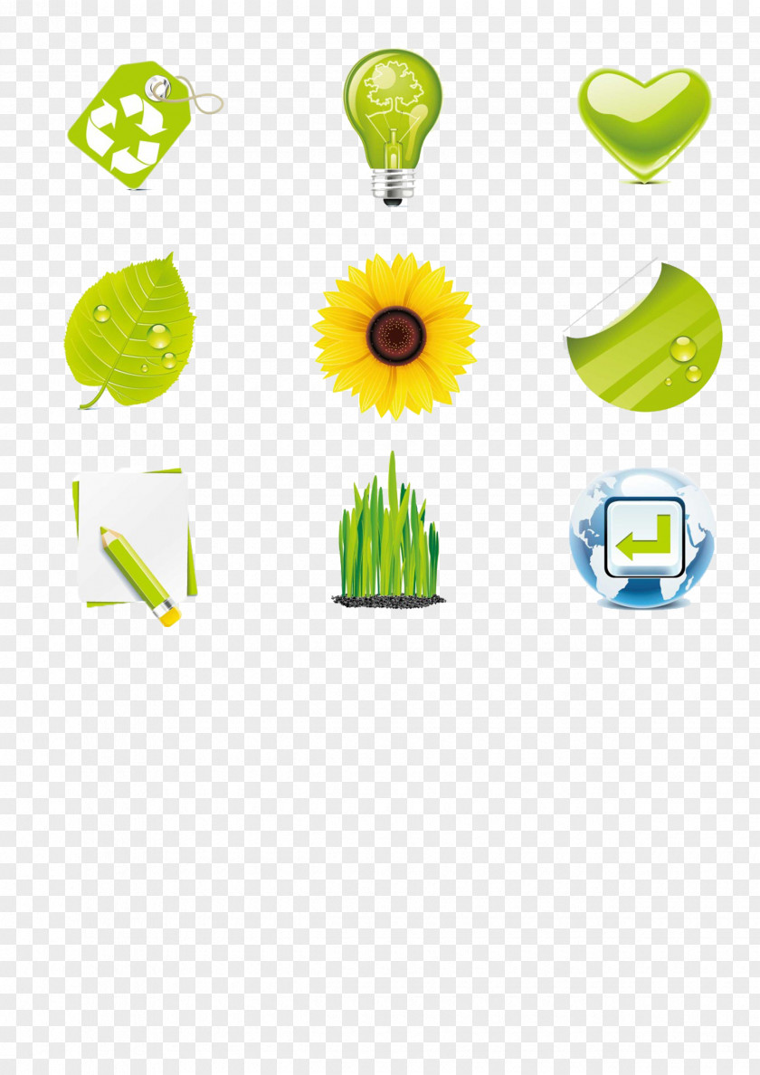 Green,environmental Protection Euclidean Vector Icon PNG