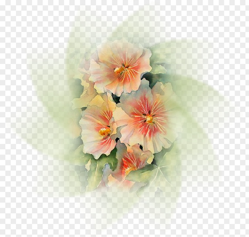 Painting Floral Design Watercolor Art Drawing PNG