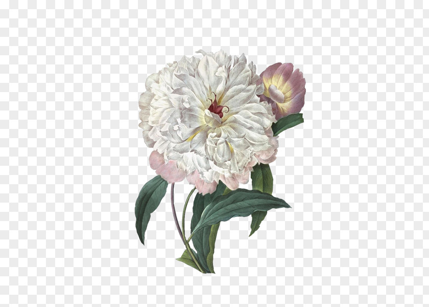 Plant,flowers,Elegant Plants Victorian Era Wall Decal Printmaking Canvas Print Art PNG