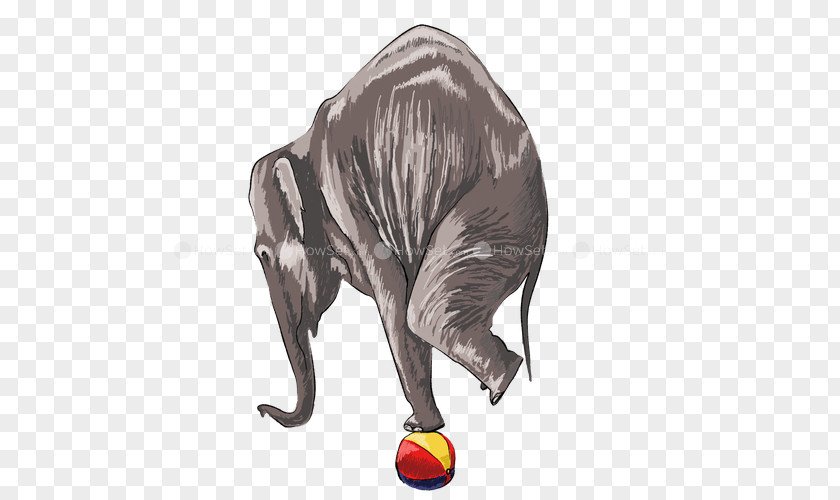 3D Elephant Indian African Elephantidae Dacha Dom Bracket PNG
