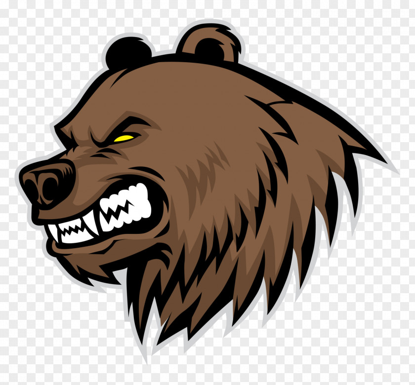 Bear Grizzly Drawing PNG