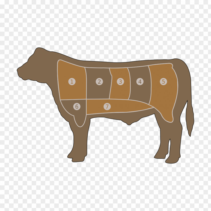 Cow Angus Cattle Beef Roast Hamburger PNG