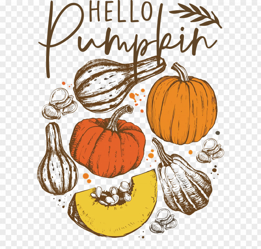 Hello Pumpkin Autumn Thanksgiving PNG