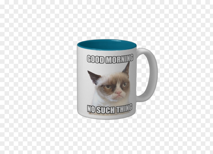 Kitten Mug Grumpy Cat Coffee PNG