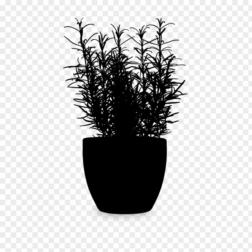 M Flowerpot Houseplant Product Design Black & White PNG