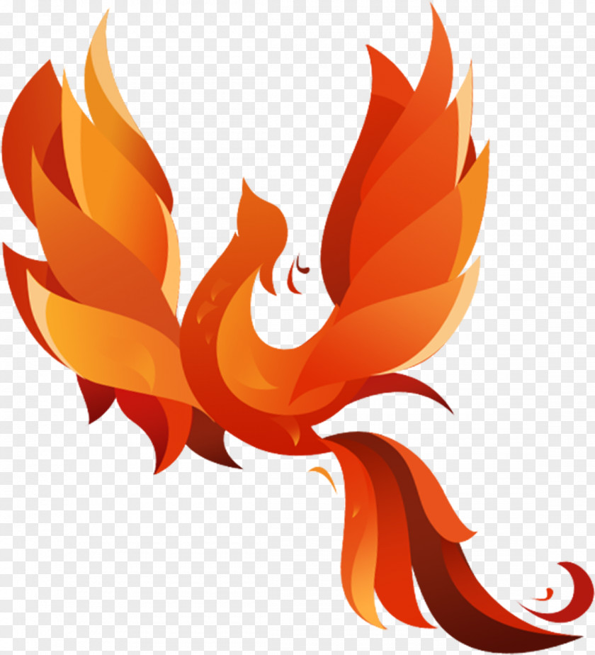 Phoenix Clip Art PNG