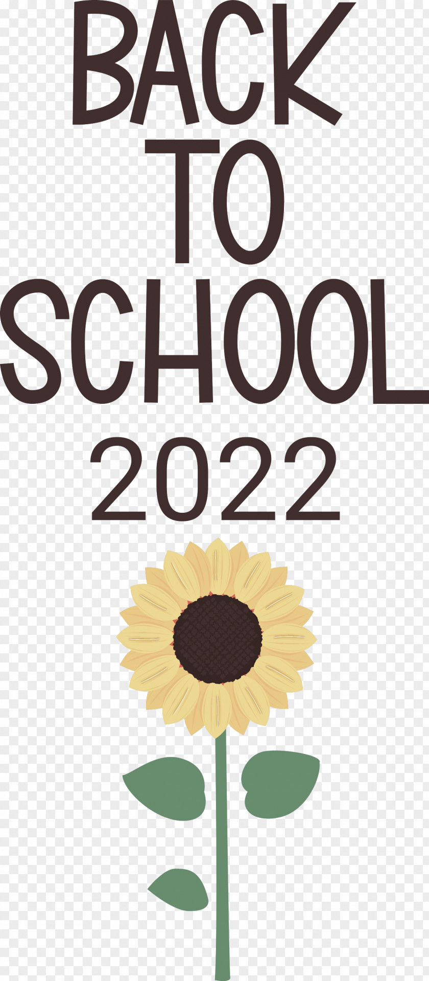 Back To School 2022 PNG