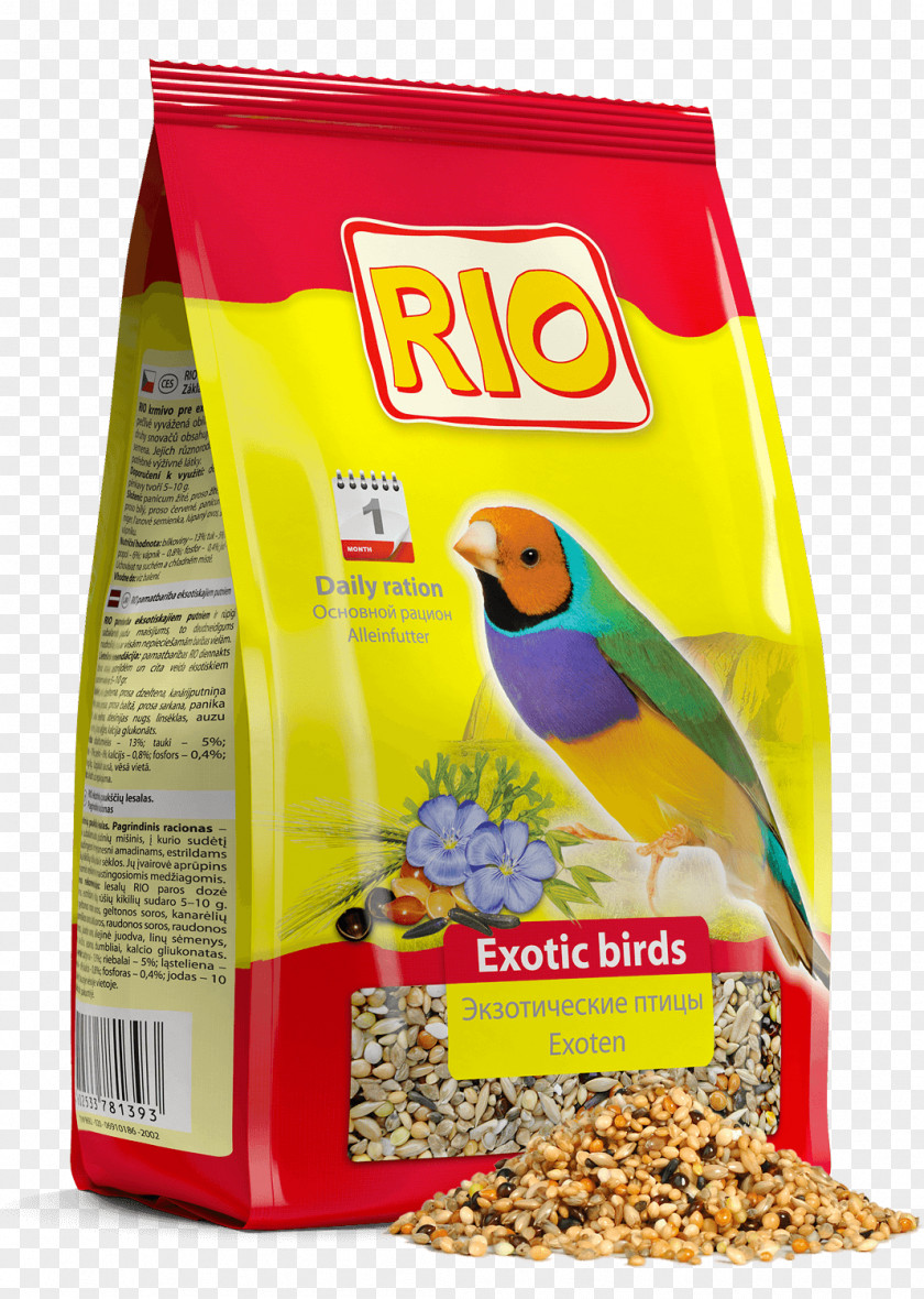 Bird Domestic Canary Budgerigar Food PNG