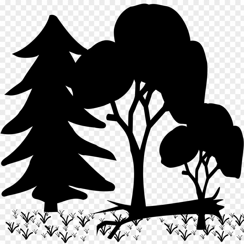 Clip Art Silhouette Vector Graphics Forest PNG