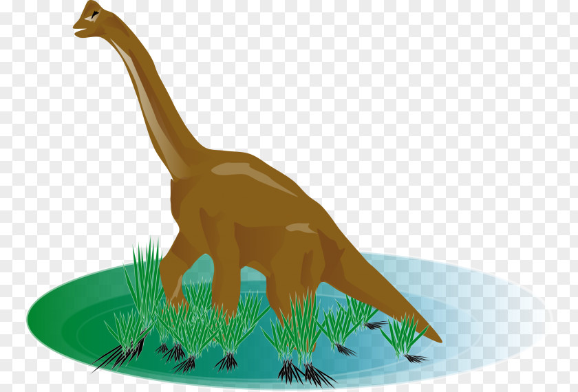 Dinosaur Stegosaurus Clip Art PNG